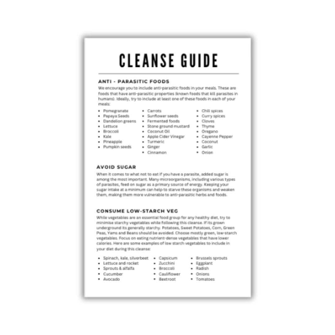 A page from our Parasite Cleanse Recipe E-Book showing a cleanse guide information