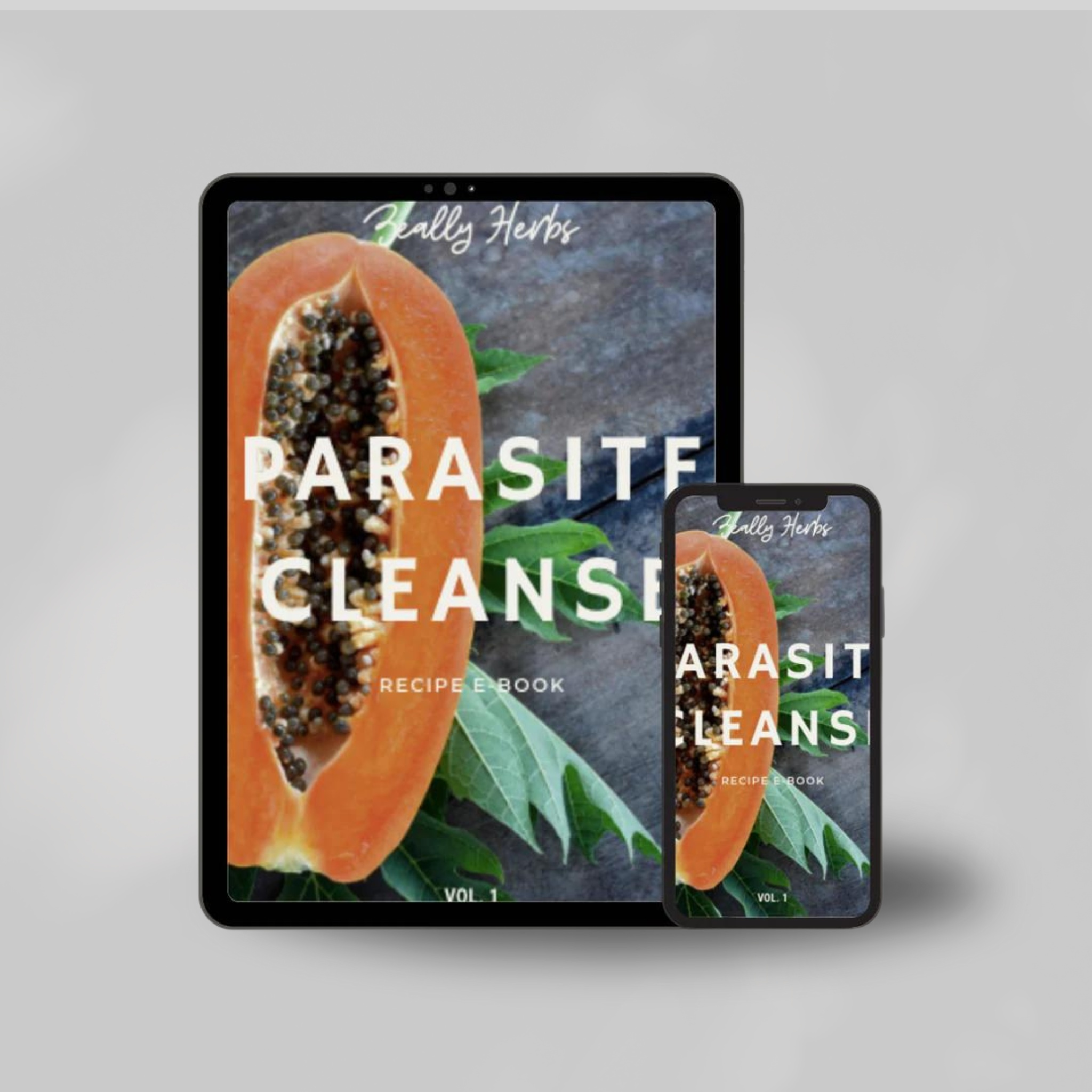 Parasite Cleanse Recipe E-Book front cover